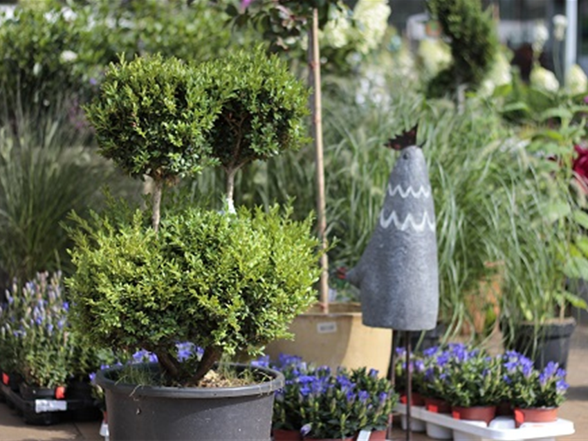 Baumschule Grüner Garten Müller
