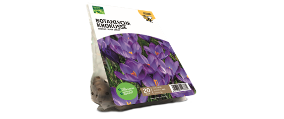 JETZT PFLANZEN, SPäTER STAUNEN! JETZT PFLANZEN, SPäTER STAUNEN!