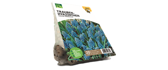 JETZT PFLANZEN, SPäTER STAUNEN! JETZT PFLANZEN, SPäTER STAUNEN!