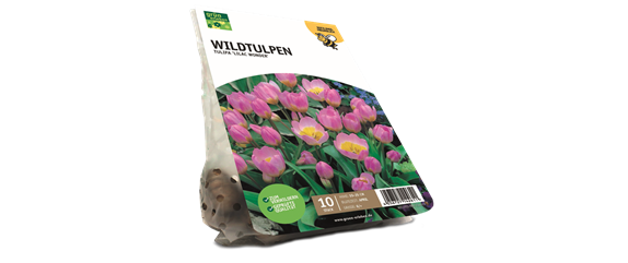 JETZT PFLANZEN, SPäTER STAUNEN! JETZT PFLANZEN, SPäTER STAUNEN!