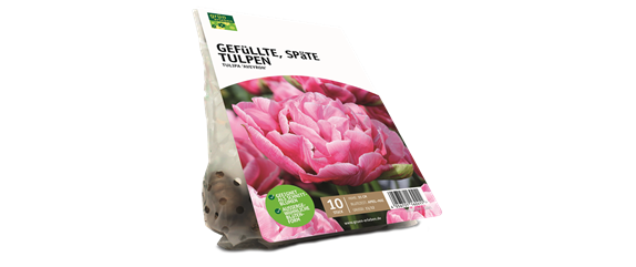 JETZT PFLANZEN, SPäTER STAUNEN! JETZT PFLANZEN, SPäTER STAUNEN!