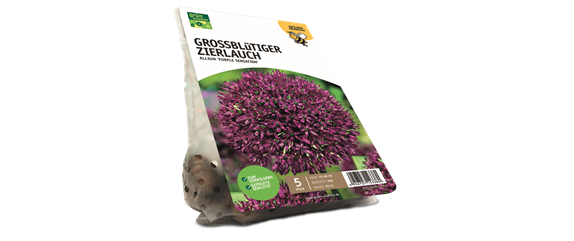 JETZT PFLANZEN, SPäTER STAUNEN! JETZT PFLANZEN, SPäTER STAUNEN!