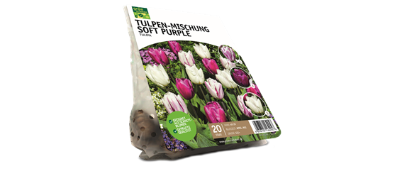 JETZT PFLANZEN, SPäTER STAUNEN! JETZT PFLANZEN, SPäTER STAUNEN!