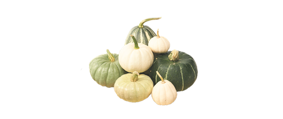 BEERENSTARKE TöNE! BEERENSTARKE TöNE!