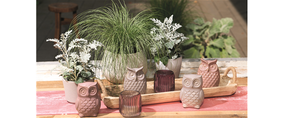 BEERENSTARKE TöNE! BEERENSTARKE TöNE!