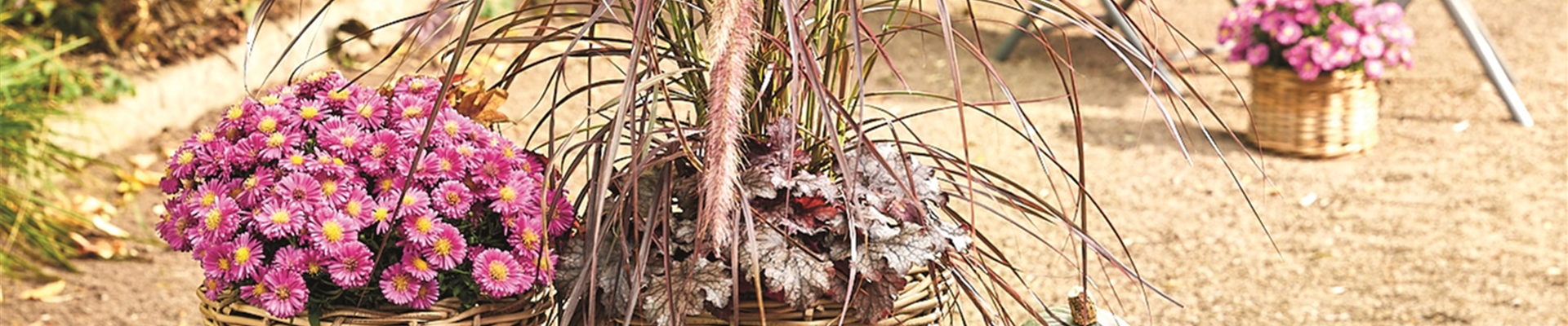 PFLANZ DIR GUTE HERBSTLAUNE!