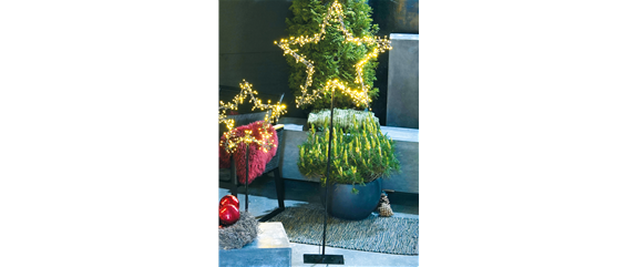 LICHTBLICKE IM WINTER-GARTEN! LICHTBLICKE IM WINTER-GARTEN!