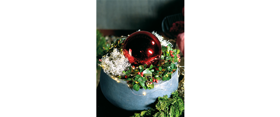 LICHTBLICKE IM WINTER-GARTEN! LICHTBLICKE IM WINTER-GARTEN!