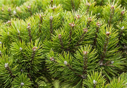 Veranstaltungen und Events Veranstaltungen und Events