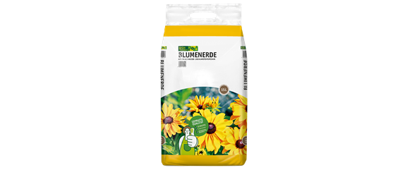 PFLANZE DES MONATS FEBRUAR: NARZISSE