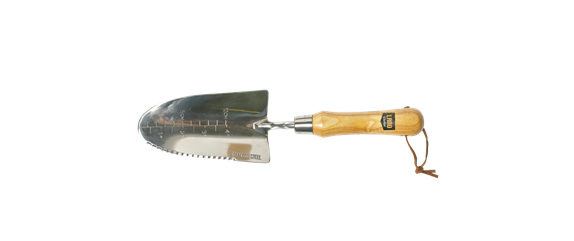 JETZT PFLANZEN, SPäTER STAUNEN! JETZT PFLANZEN, SPäTER STAUNEN!