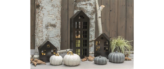 EIN KUNTERBUNTER HERBST! EIN KUNTERBUNTER HERBST!