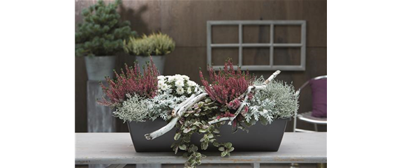 EIN KUNTERBUNTER HERBST! EIN KUNTERBUNTER HERBST!