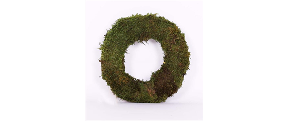 EIN KUNTERBUNTER HERBST! EIN KUNTERBUNTER HERBST!